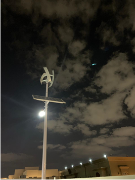 In 2019, UAE UAE 9-meter-high 80W wind scenery complementary street lamp, fan 300W